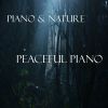 Download track Peaceful Nature