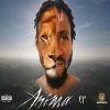 Download track Anima