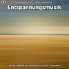 Download track Entspannungsmusik Teil 27