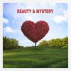 Download track Beauty & Mystery