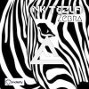 Download track Zebra