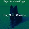 Download track Soulful Backdrops For Doggy Training