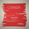 Download track Ciranda (Original Mix)