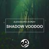 Download track Shadow Voodoo (Original Mix)