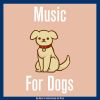 Download track Relax My Dog