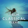 Download track Piano Sonata In B-Flat Major, K. 333 II. Andante Cantabile