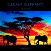 Download track Elephant Dance