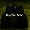 Download track Bonsai Brilliance The Art Of Miniature Trees