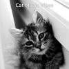 Download track Amazing Backdrops For Cats