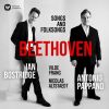 Download track 10. Beethoven Sehnsucht, WoO 134 III. Poco Adagio
