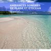 Download track L'amour De L'océan Et De La Plage