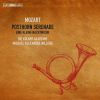 Download track 04 - Mozart - Serenade No. 9 In D Major, K. 320 Posthorn - III. Concertante. Andante Grazioso