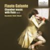 Download track Flute Quintetto No. 3 In C Major, G. 427, Op. 19: I. Andante Non Tanto