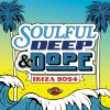 Download track Soulful Deep & Dope Ibiza 2024 (DJ Mix)