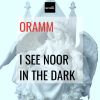 Download track I See Noor In The Dark (Blindness Remix)