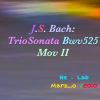 Download track Bwv525 - II - Piano +