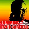 Download track Jamming (Radio Version)