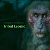 Download track Tribal Leonid