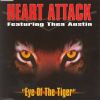 Download track Eye Of The Tiger (Club Mix)