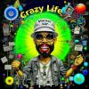 Download track Crazy Life