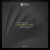 Download track Symphony Of Destruction (Hasina Andrian Remix)