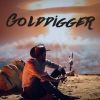 Download track Golddigger