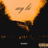 Download track Say Hi