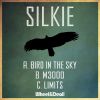 Download track Bird In'the Sky