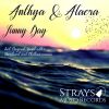 Download track Sunny Day (Original Vocal Mix)