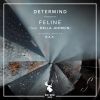 Download track Feline (B. A. X. Remix)