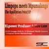 Download track Limpopo Meets Mpumalanga (The Equilibrium Point)