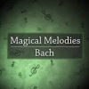 Download track J. S. Bach: Prelude For Lute In C Minor, BWV 999