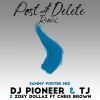 Download track Post & Delete Remix (Radio Edit; Sammy Porter Mix)