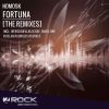 Download track Fortuna (Ruslan Radriges Remix)