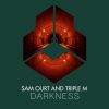 Download track Darkness (Extended Mix)