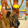 Download track Stormy Blues Front