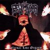 Download track Requiem Of Hell