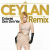 Download track Entarisi Dım Dım Yar Remix