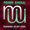 Download track Burning In My Soul (Original Mix)