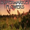 Download track Supermarket Flowers - Tribute To Ed Sheeran (Instrumental Version)