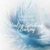 Download track Cleansing The Spirit