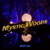 Download track Mystic Woods