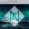 Download track Into The Midnight (RUNOS Remix)