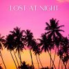 Download track Ambient Night Beats