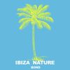 Download track Beautiful And Terrible (Ibiza Son Remix)