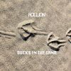 Download track Ducks In The Sand (Extended Mix)