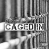 Download track Caged In