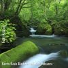 Download track Green Oasis Daytime Natural Ambience, Pt. 3