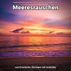 Download track Meeresrauschen Für Hunde