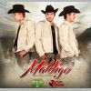 Download track Maldigo